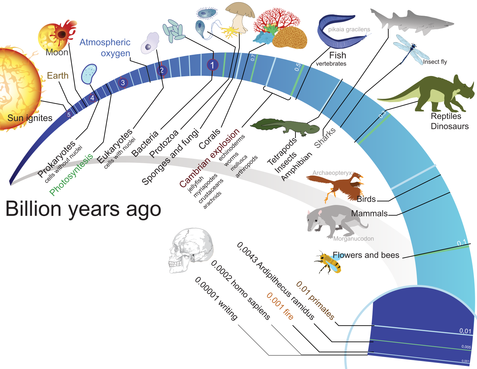 3. Bioloogiline evolutsioon