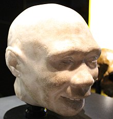 Homo antecessor