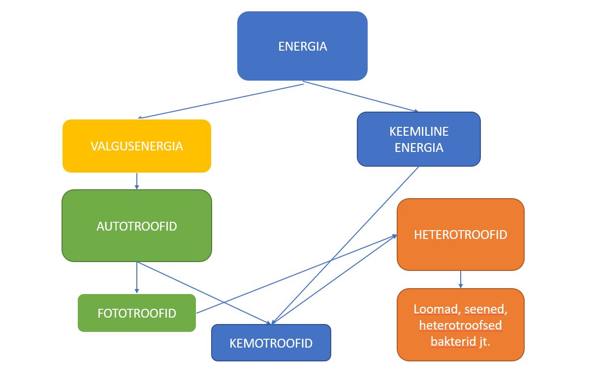 Joonis. Energia skeem