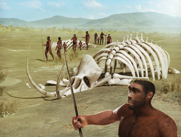 Püstine inimene  Homo erectus