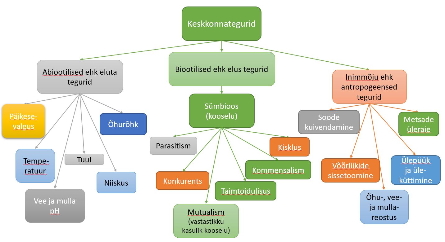 Keskkonnategurid