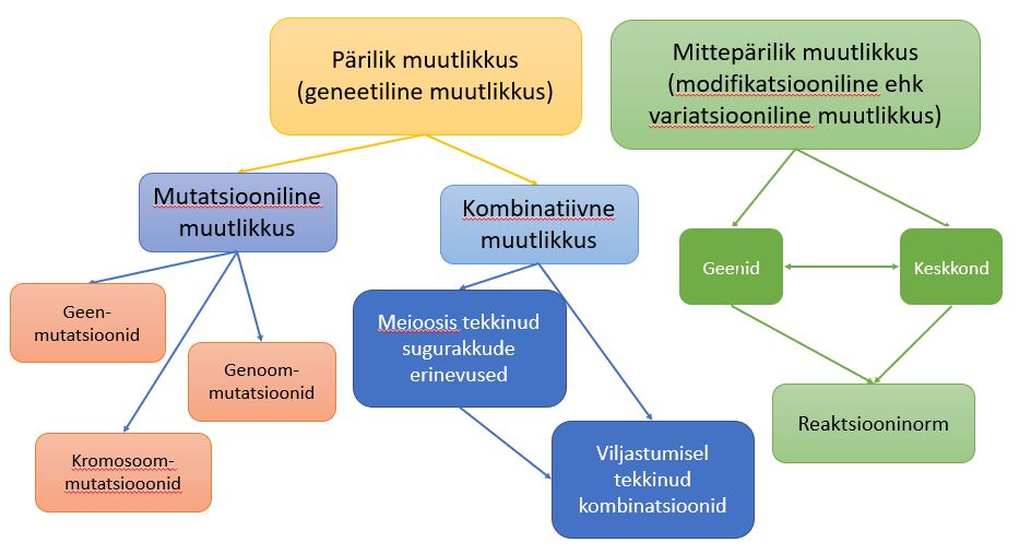 Pärilikkus ja muutlikkus