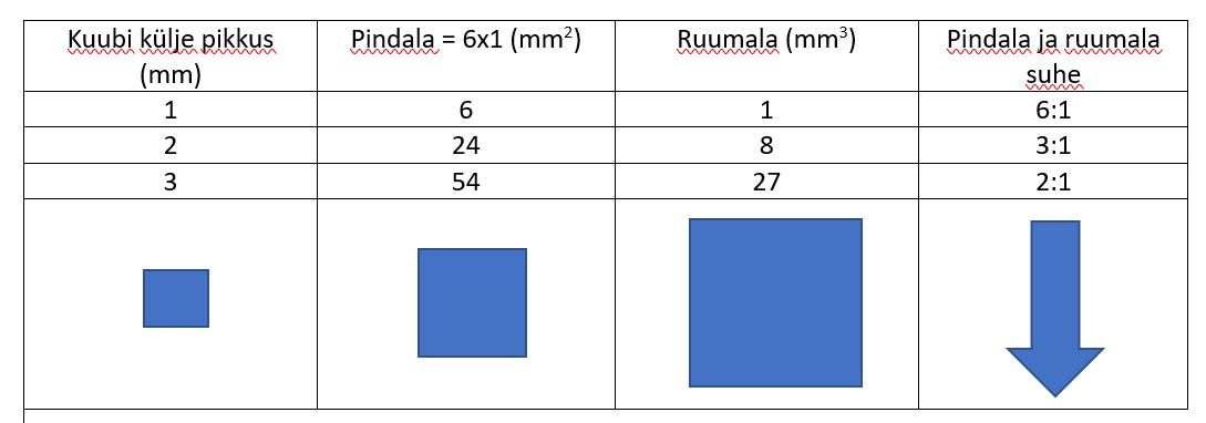 Pindala ja ruumala suhe