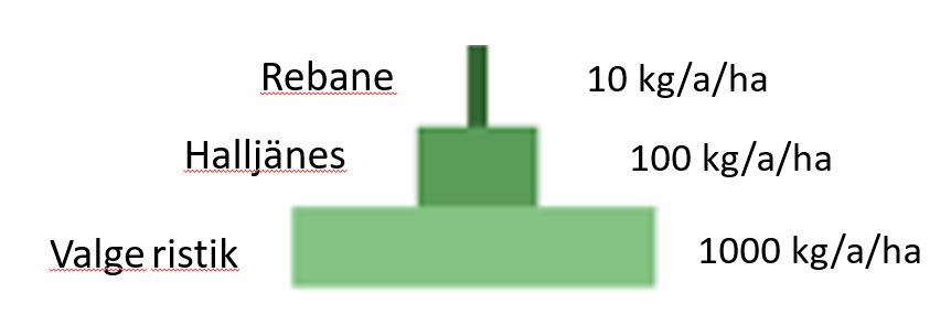 Produktsiooni püramiid