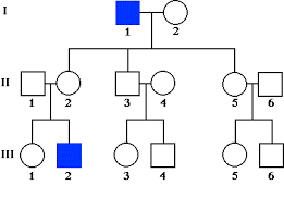 Genealoogiline ehk sugupuu analüüs