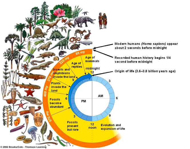 Evolutsioon