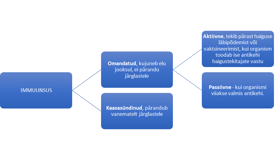 Joonis.  Omandatud ja kaasasündinud immuunsus