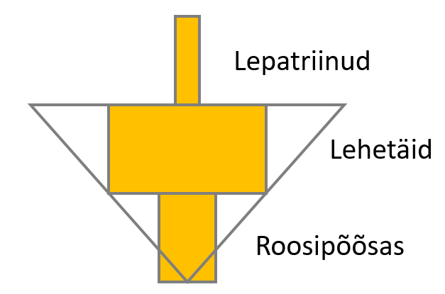 Joonis 11. Teistsuguse kujuga arvukuse püramiid (roosipõõsas → lehetäid → lepatriinud)