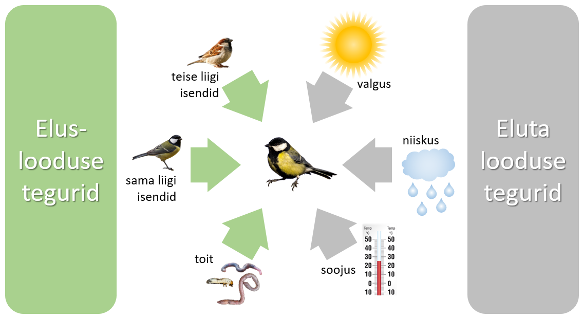 Organismile mõjuvad eluslooduse ja eluta looduse tegurid