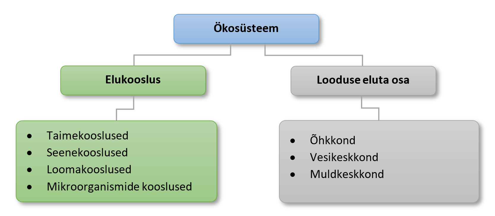 Ökosüsteem