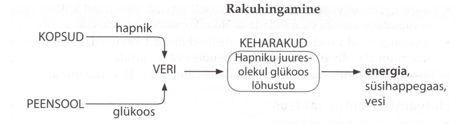 Joonis.  Rakuhingamine