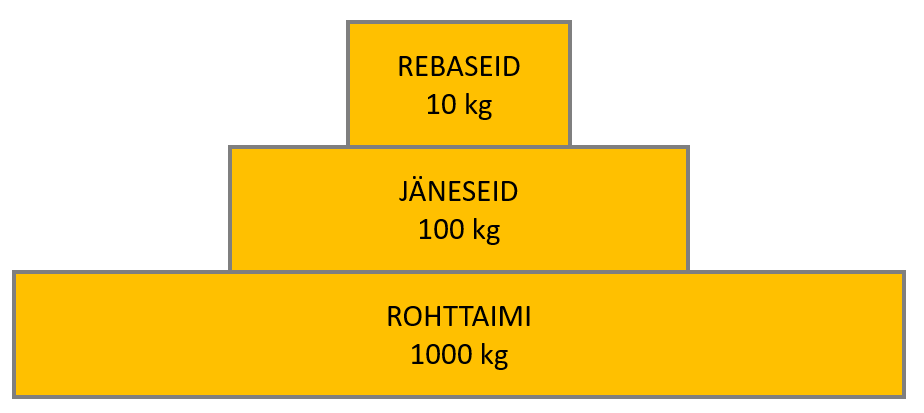 Joonis 12. Biomassi püramiid