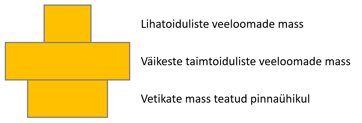 Joonis 13. Biomassi püramiid veekogu ökosüsteemis.