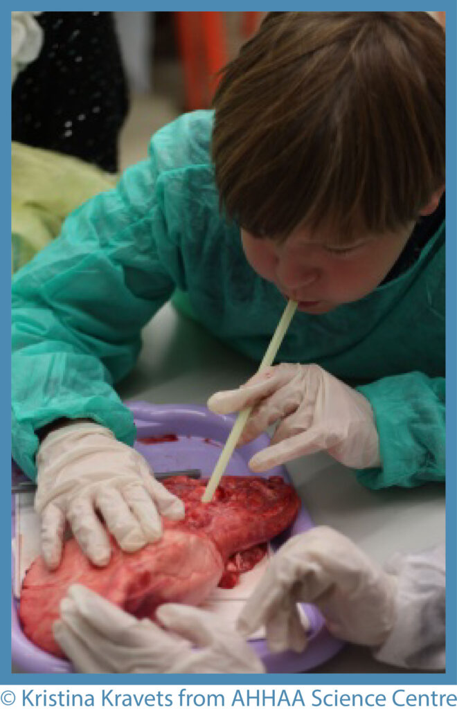 A pupil at AHHAA Science Centre