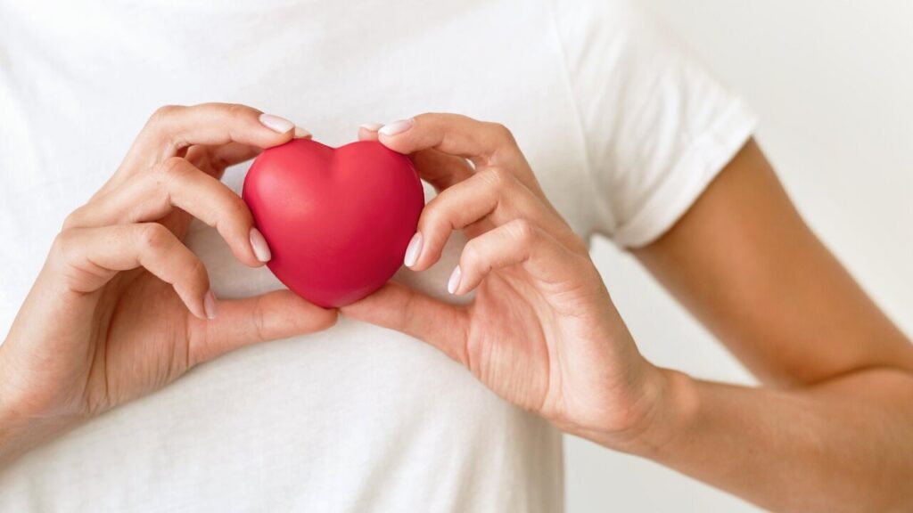 Hands holding a toy heart