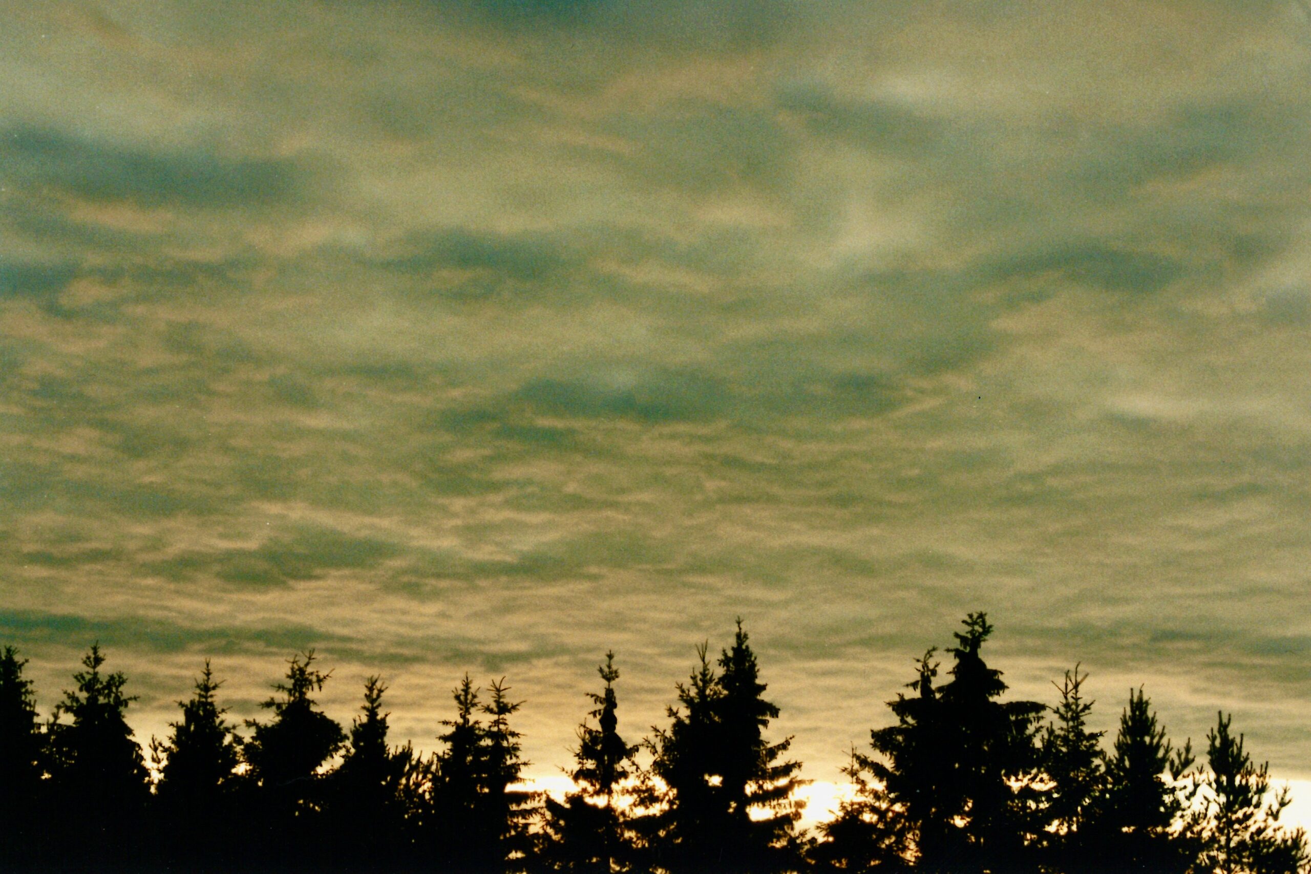 Altocumulus opacus – tihe läbipaistmatu pilvemassiiv. FOTO: Sulev Kuuse