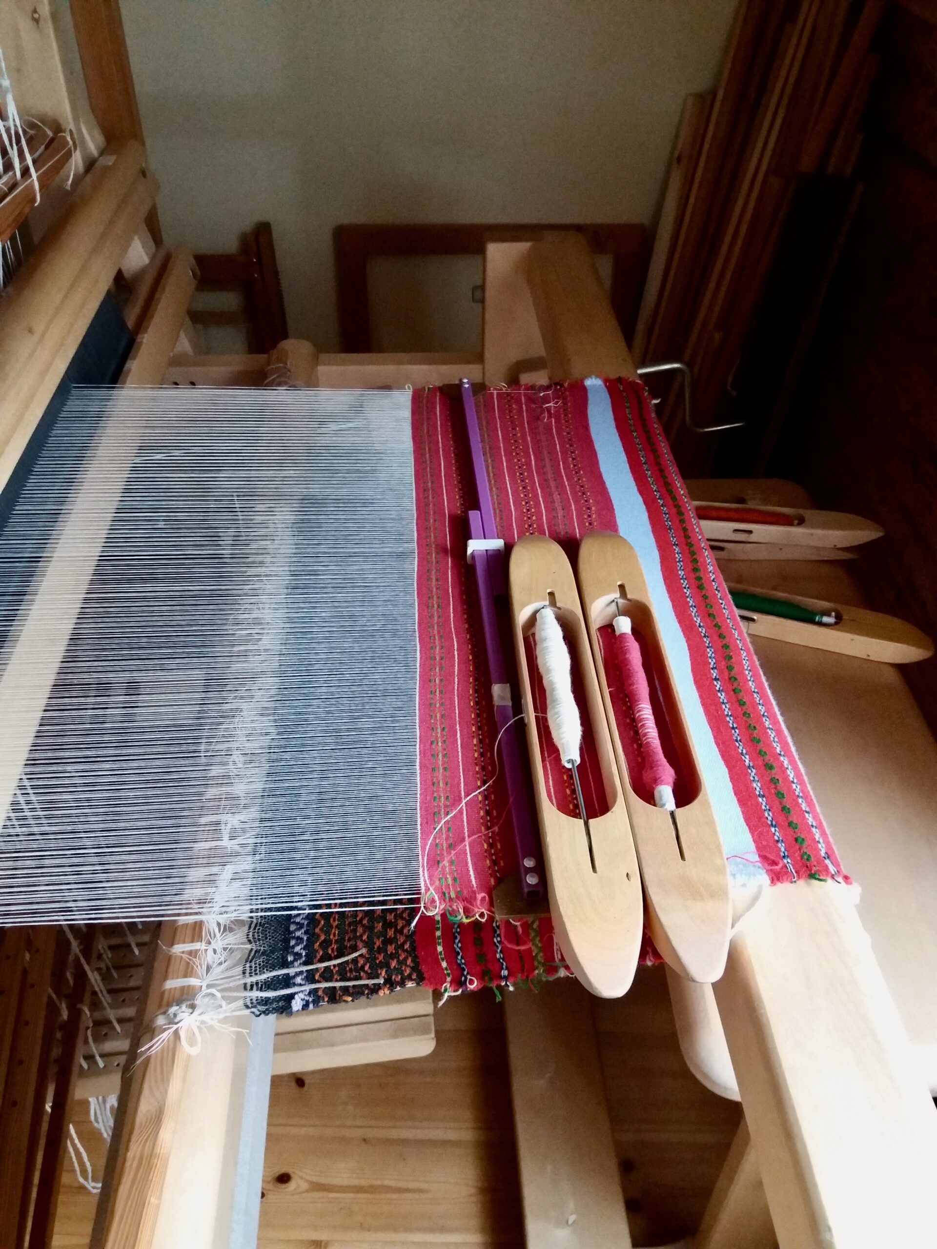 Matsini isiklik lemmikala on kangakudumine. Foto: Wikimedia Commons