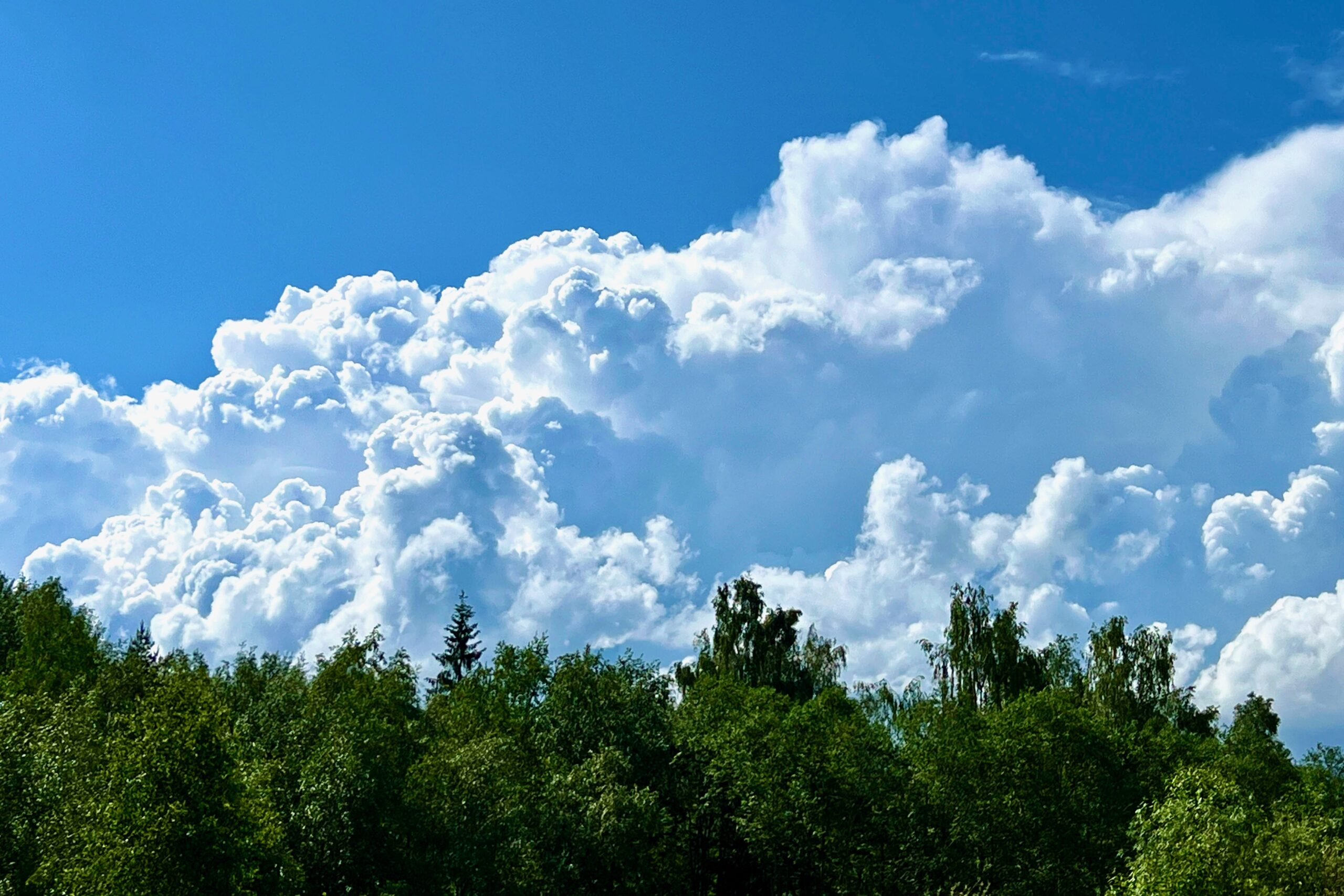 Enim armastab Sulev Kuuse pildistada pilvi ja baleriine: pildil ilusa ilma rünkpilved. FOTO: Sulev Kuuse