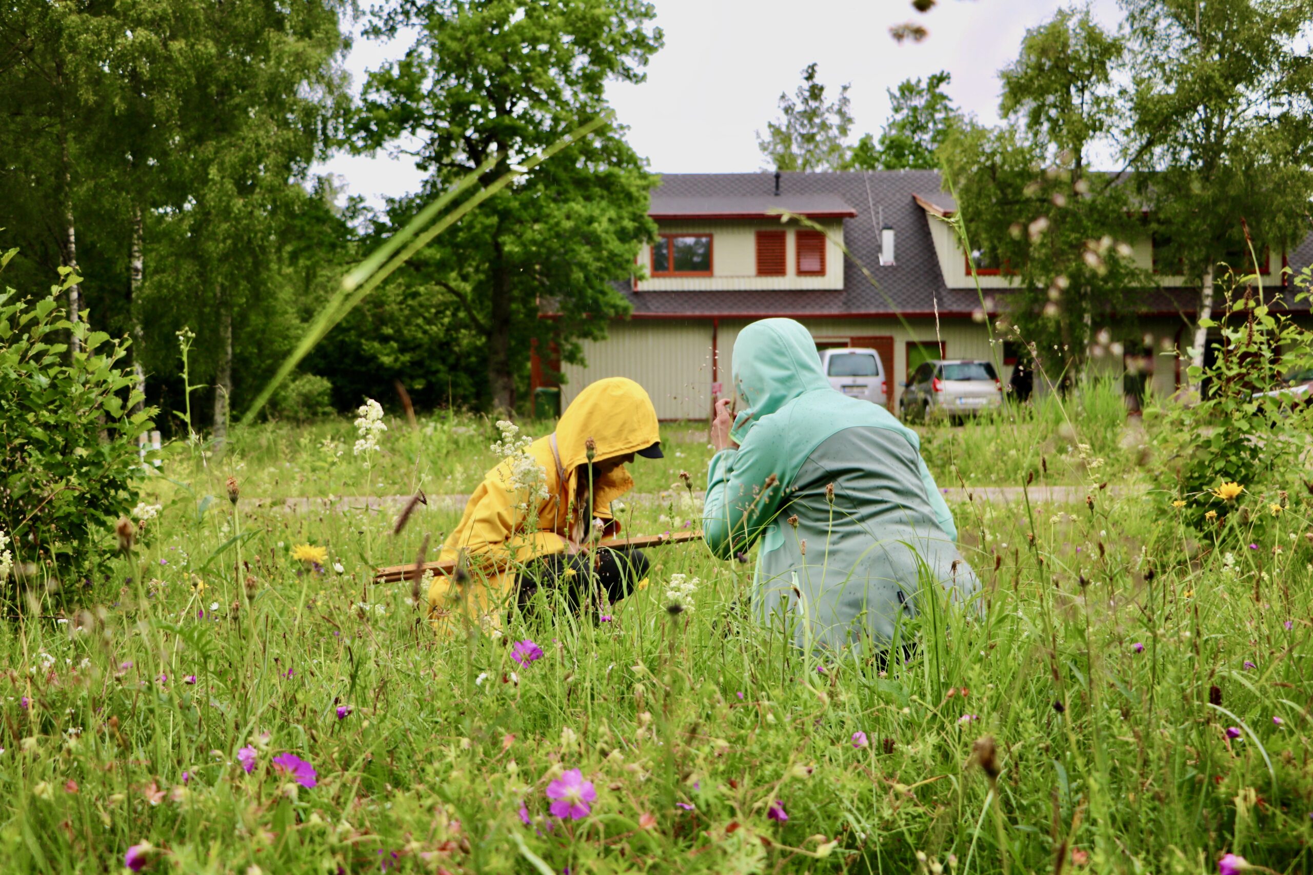 Pärast esimese maja mahapõlemist avati 2015. aastal Laelatul uus bioloogiajaam nüüdisaegseks teadustööks sobilike laborite ja proovide hoiustamise ruumidega. Foto: Merilyn Merisalu